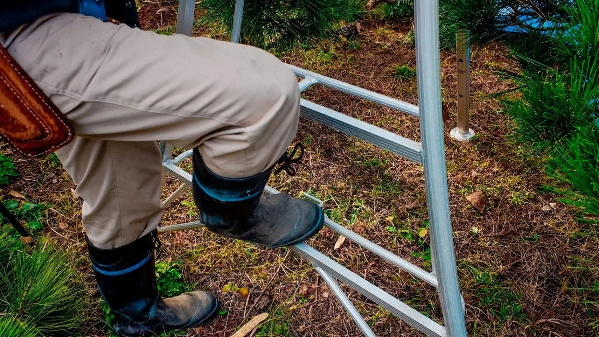 下野市での剪定の基本とコツ最新版！庭木の種類別手入れ方法と最適時期を解説