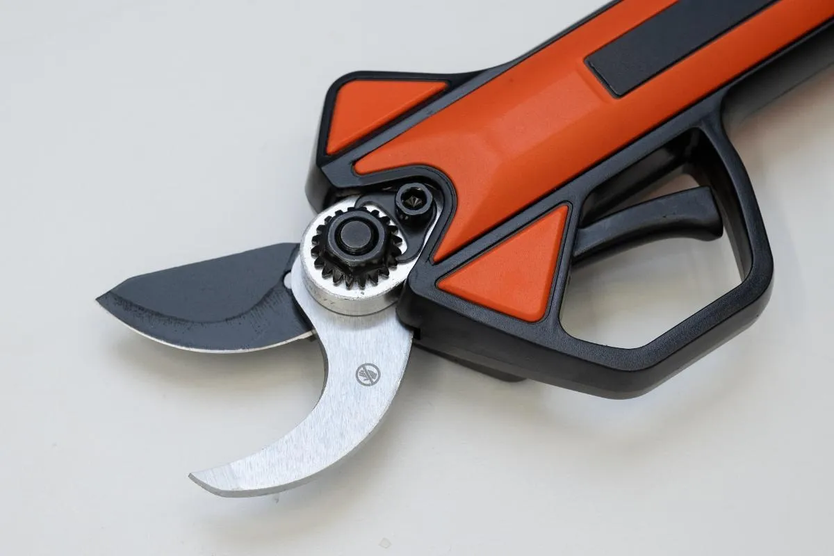 宇都宮市での剪定の基本と時期を解説！初心者でも庭木の手入れが分かる方法